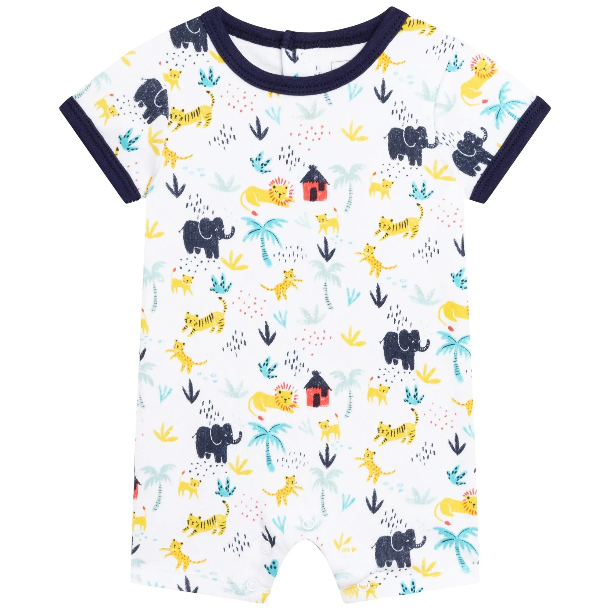 Baby Boys All-in-One