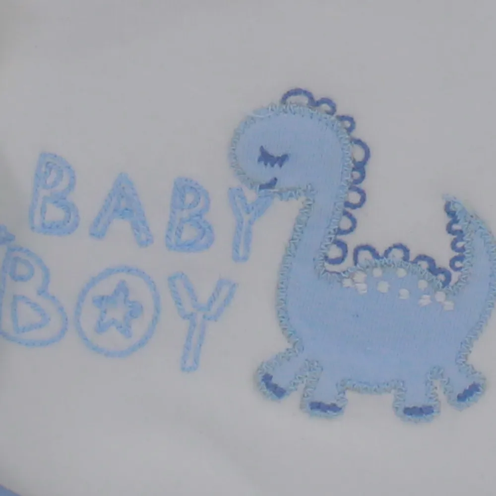 Geschenkbox für Babyjungen – Weiß & Hellblaues Dino-Motiv