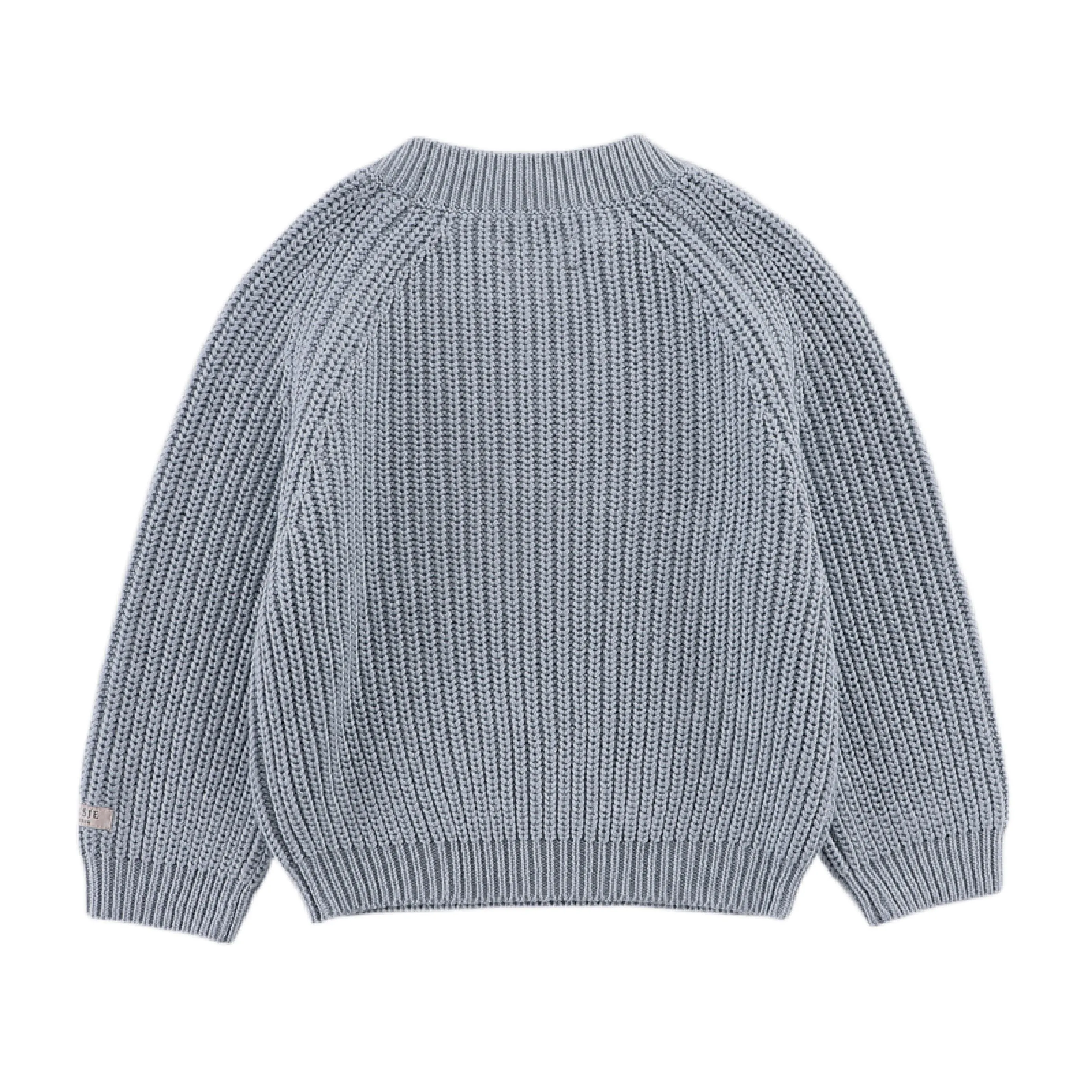 Jungen Blauer Gestrickter Jade-Pullover