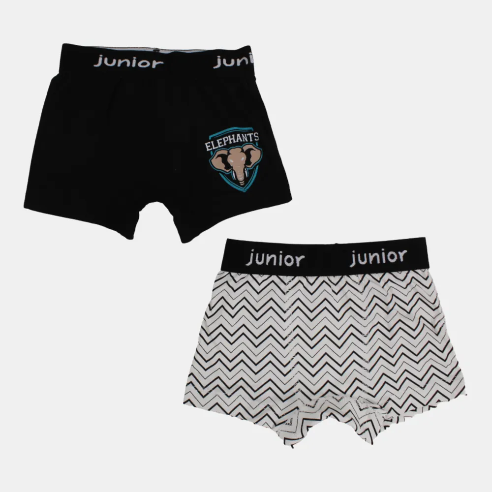 Baumwoll-Boxershorts für Jungen – (2er Pack)