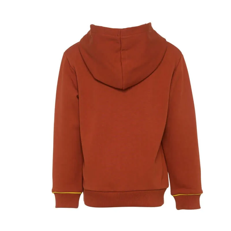 Jungen Baumwoll-Pullover mit Rost-Logo und Kapuze