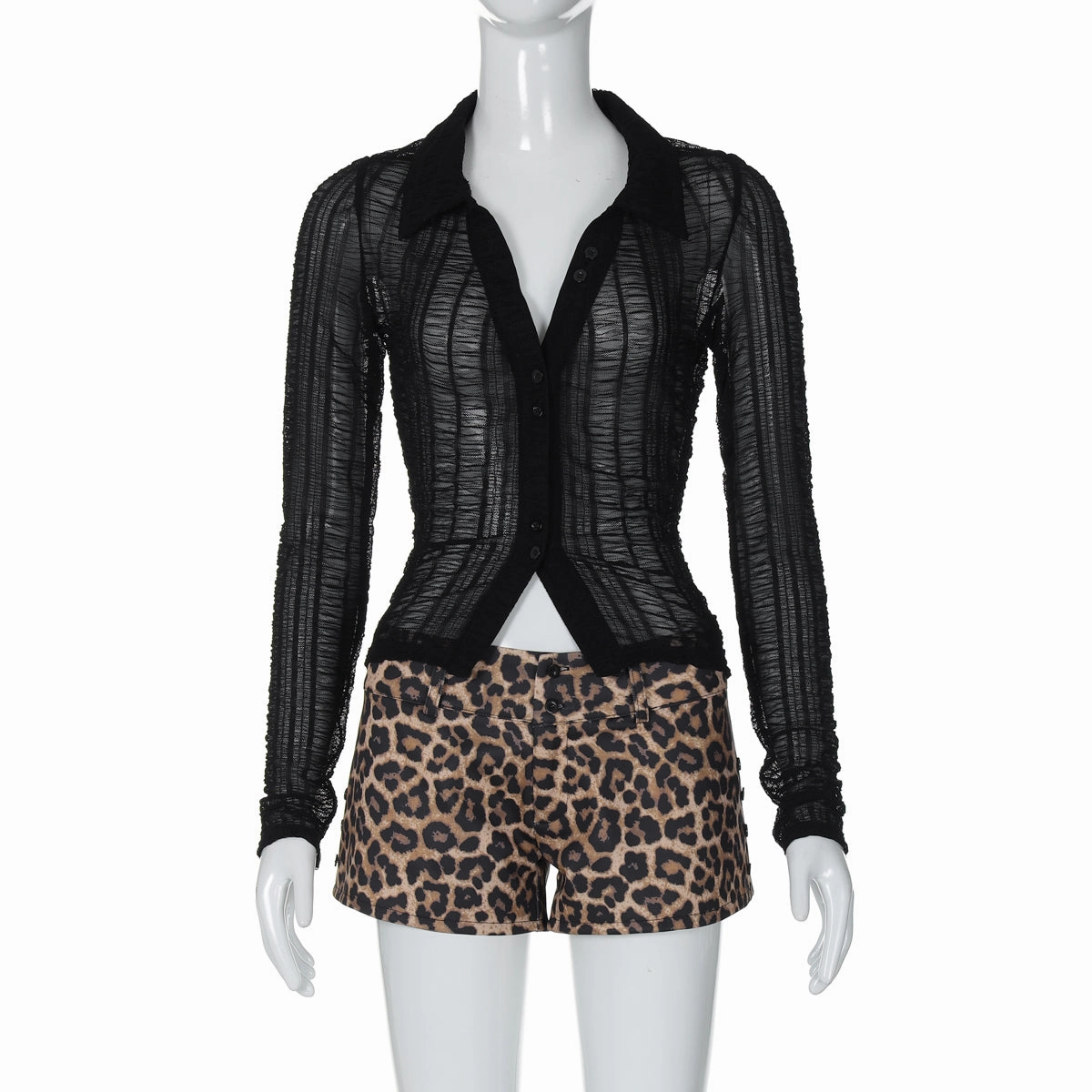 Everley Mesh V-Neck Leopard Set