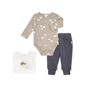FIRSTS Gourds 3-Piece Set