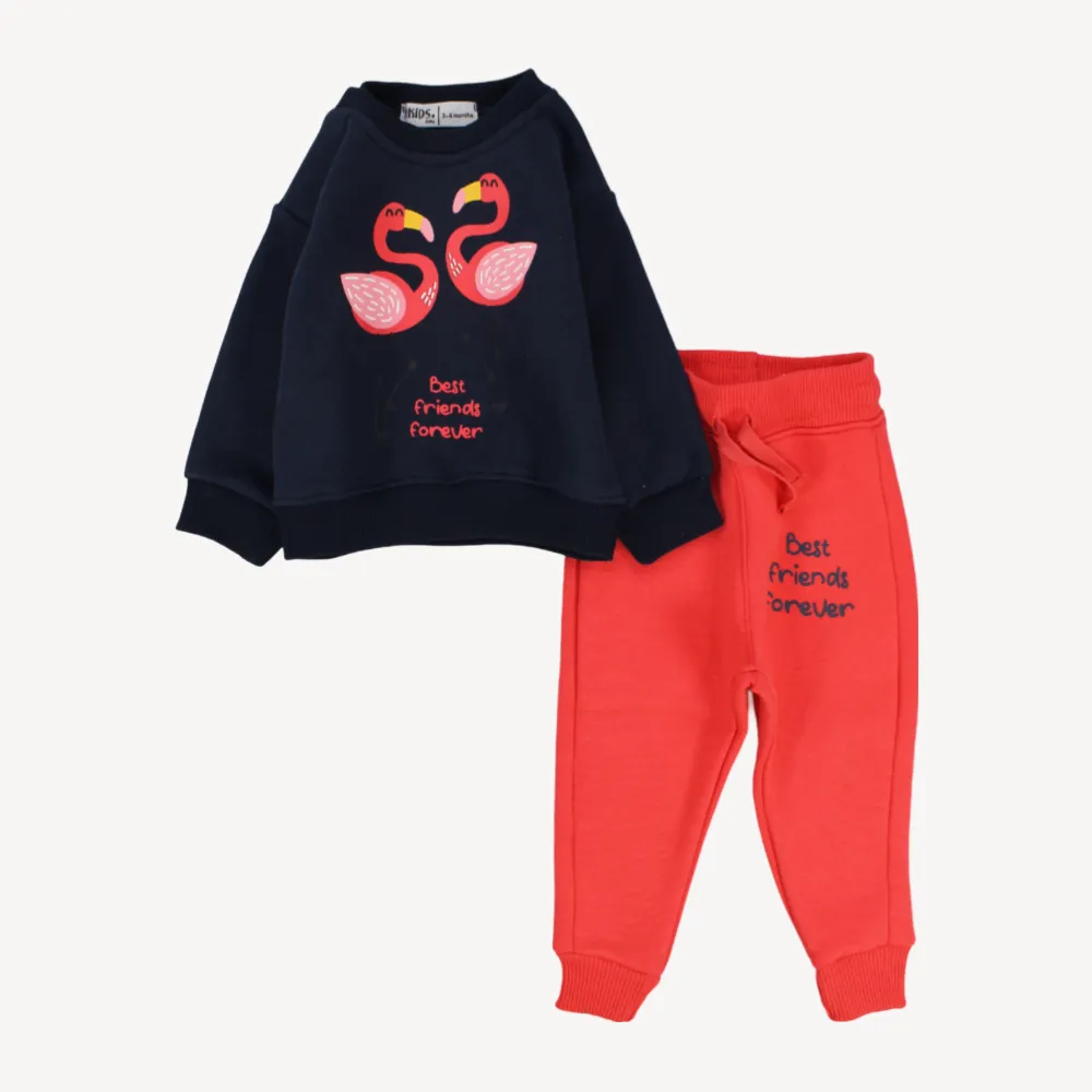 Flamingo Freunde Langarm-Fleece-Schlafanzug