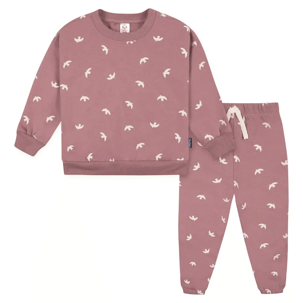 Gerber Baby und Kleinkind Mädchen 2-teiliges Sweatshirt & Aktivhosen-Set - Vögel Babykids Gerber