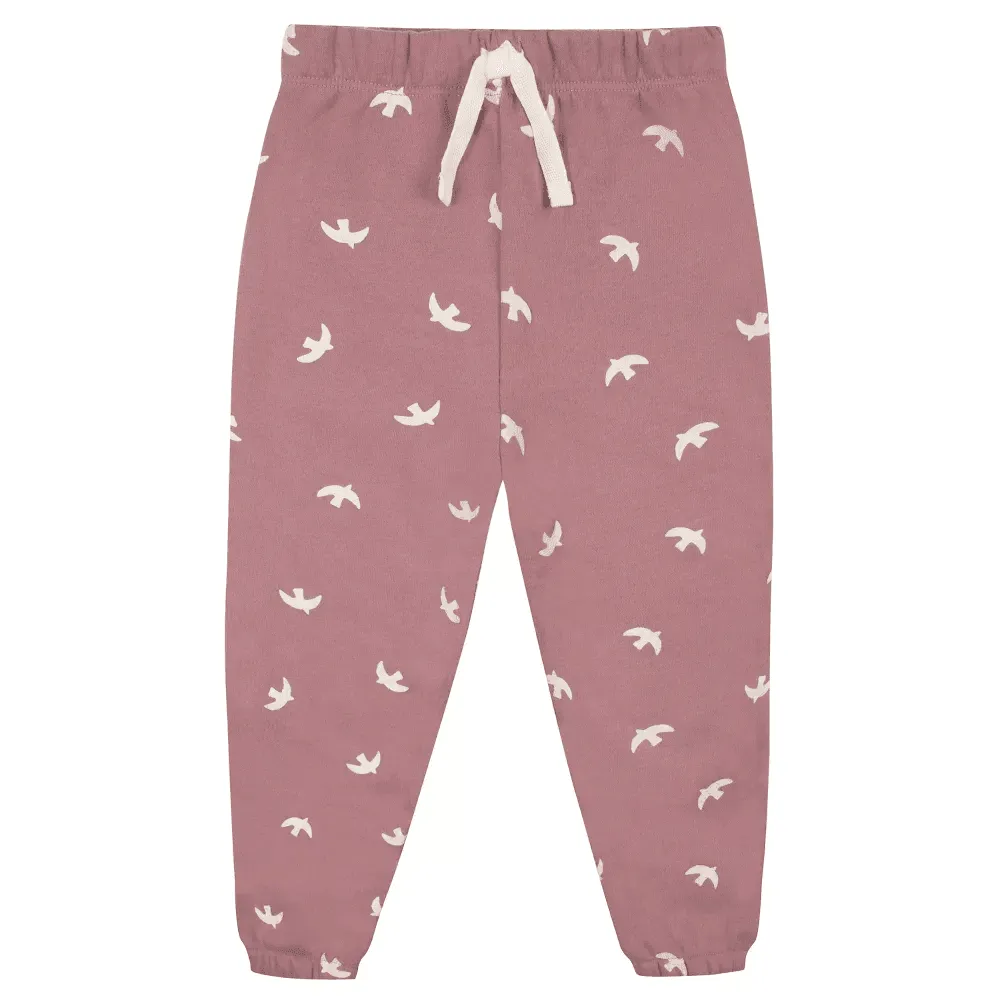 Gerber Baby und Kleinkind Mädchen 2-teiliges Sweatshirt & Aktivhosen-Set - Vögel Babykids Gerber