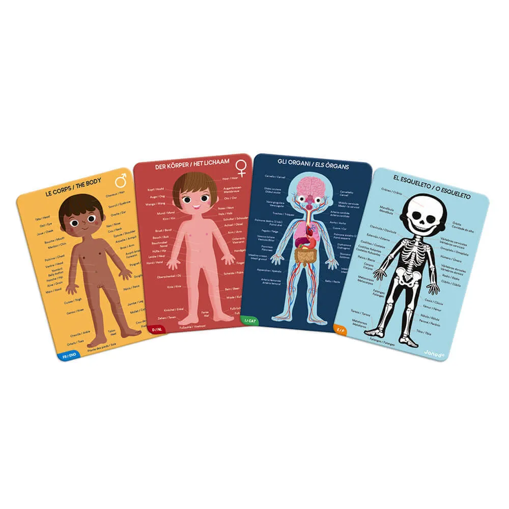 Janod - Set mit 4 Riesenpuzzles zur Entdeckung des menschlichen Körpers
