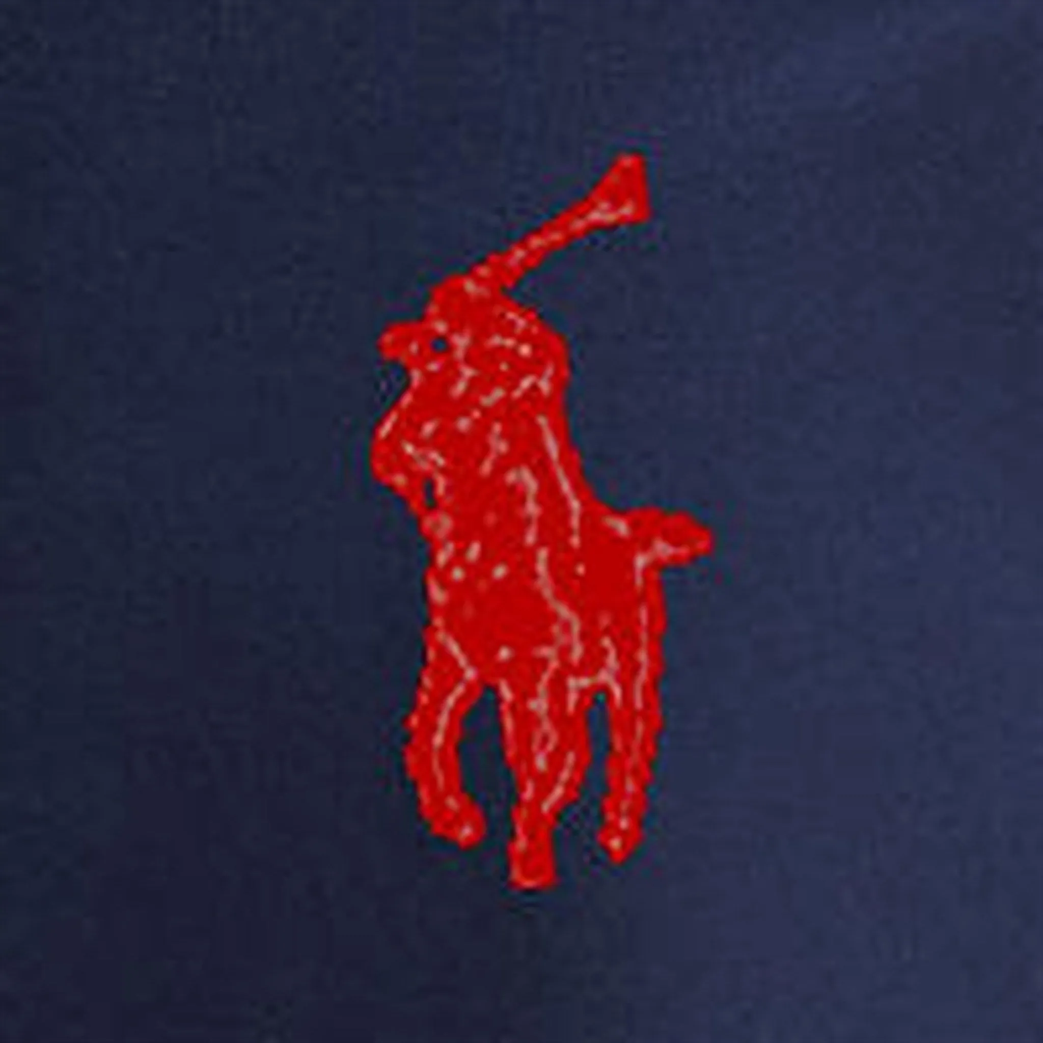 Polo Ralph Lauren Jungenhose Newport Navy Polo-Ralph-Lauren