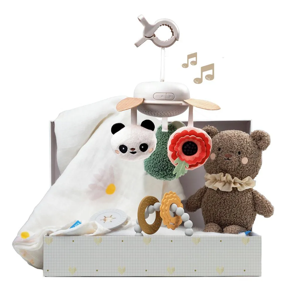 Taf Toys Luxus-Geschenkset für Neugeborene