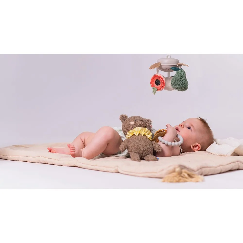Taf Toys Luxus-Geschenkset für Neugeborene