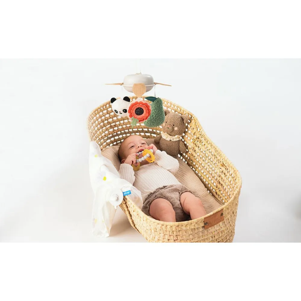 Taf Toys Luxus-Geschenkset für Neugeborene