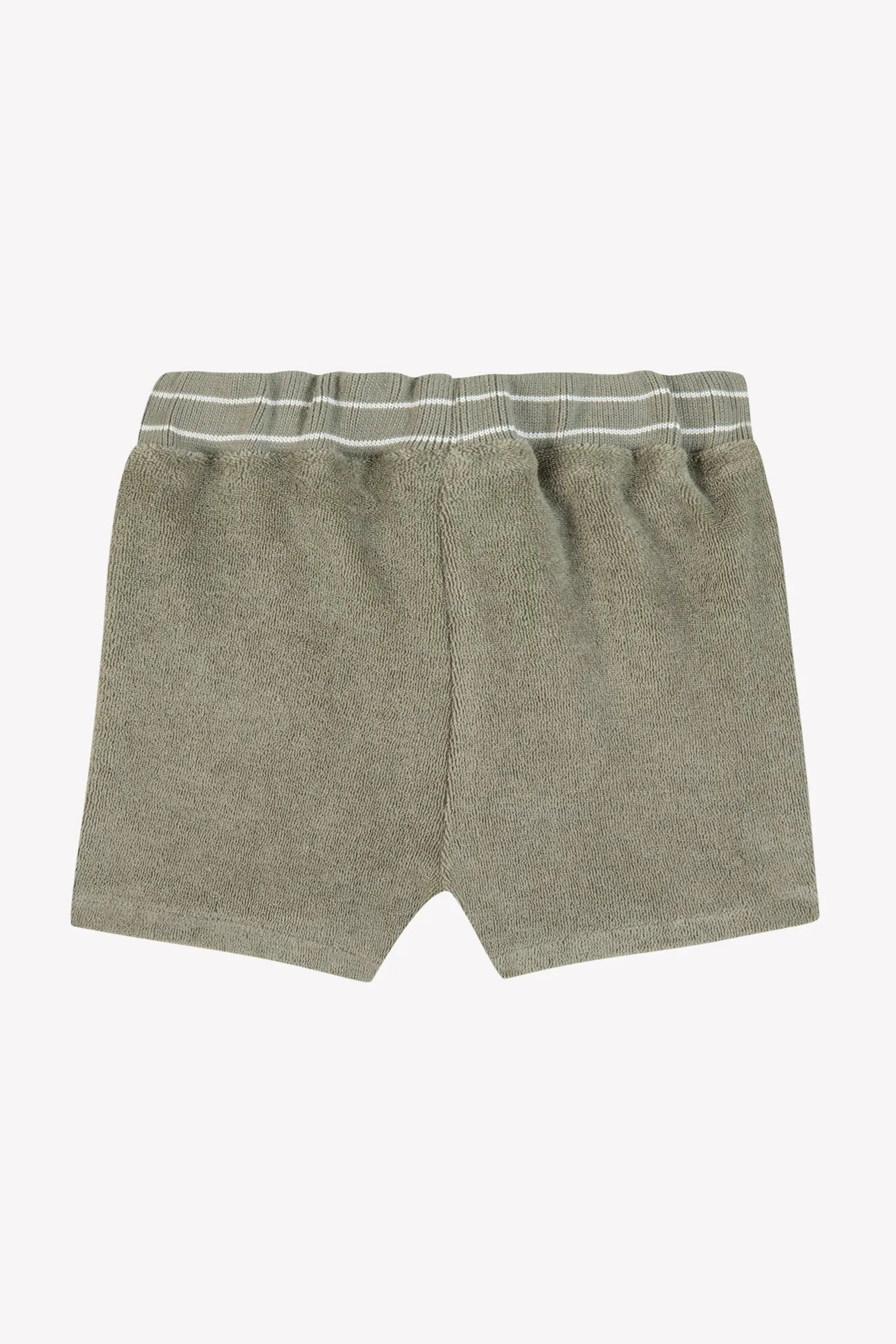 Tartine Et Chocolat Jungen Mädchen BABY EXPLORATEUR EN HERBE SHORT9 - Farn