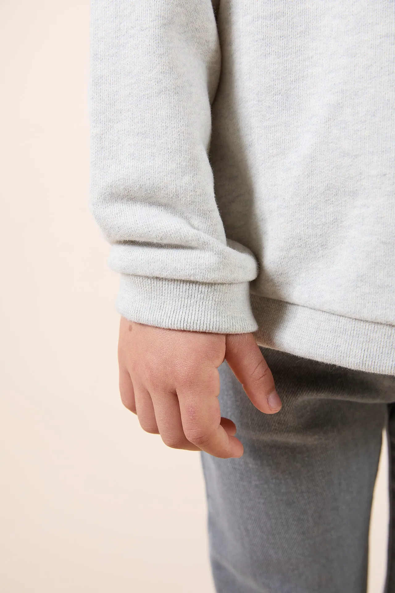 Tartine Et Chocolat Jungen Mädchen BABY EXPLORATEUR EN HERBE SWEAT 1 - Meliertes Grau